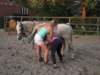 dscn2719_small.jpg