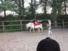 dscn2723_small.jpg