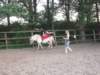 dscn2724_small.jpg