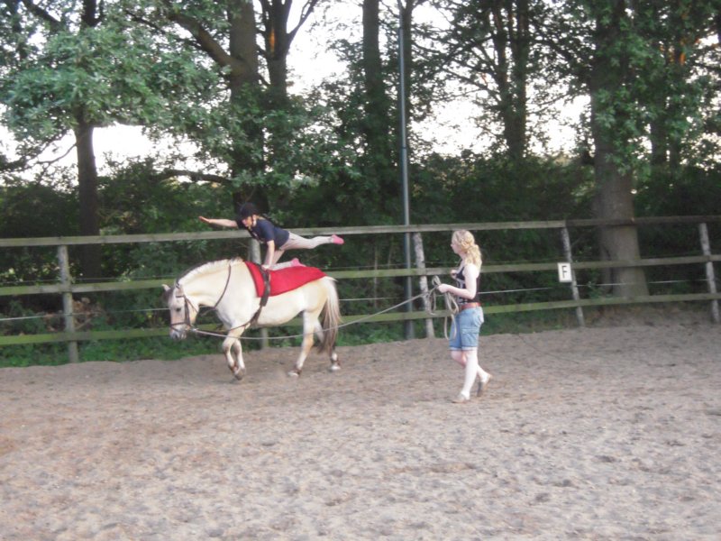 dscn2725.jpg