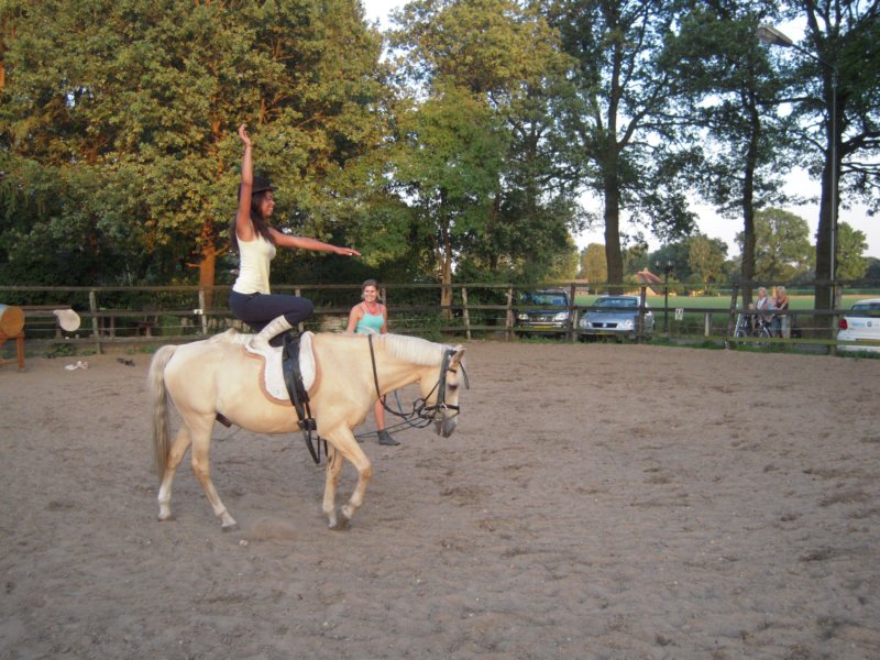 dscn2726.jpg