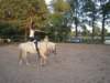 dscn2726_small.jpg
