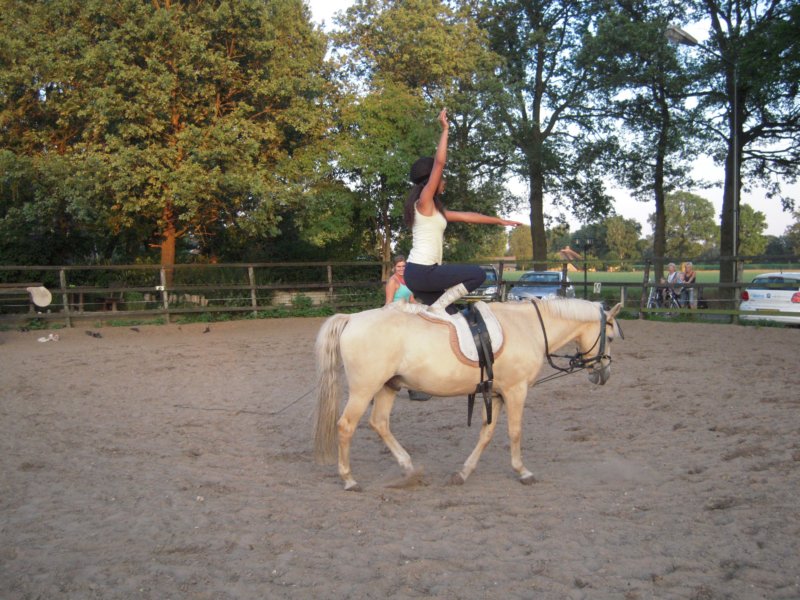 dscn2728.jpg