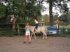 dscn2731_small.jpg