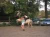 dscn2733_small.jpg