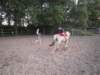 dscn2734_small.jpg