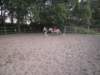 dscn2738_small.jpg