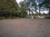 dscn2739_small.jpg