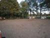 dscn2740_small.jpg