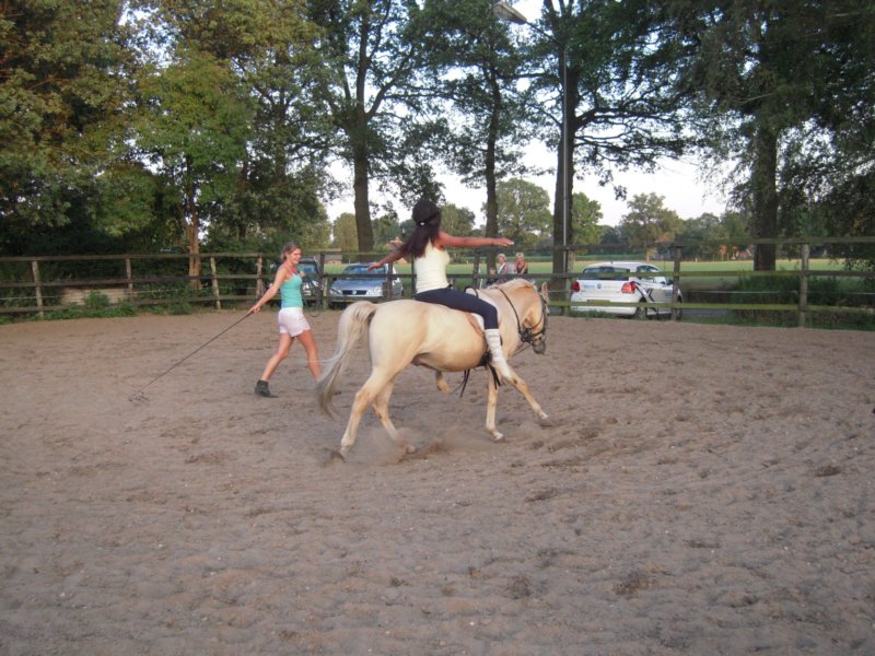 dscn2741.jpg