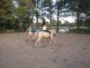 dscn2741_small.jpg