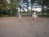 dscn2742_small.jpg