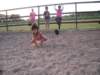 dscn2745_small.jpg