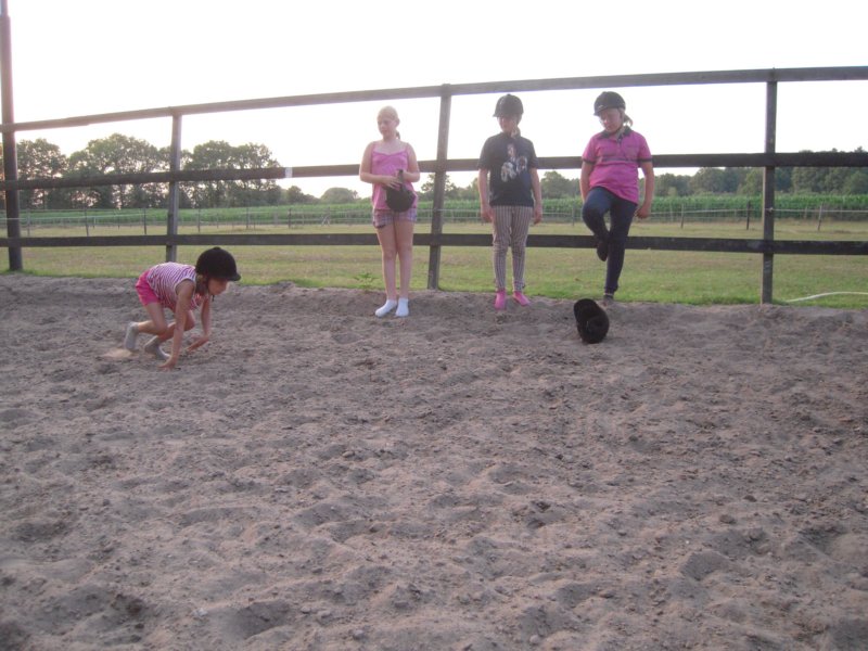 dscn2747.jpg