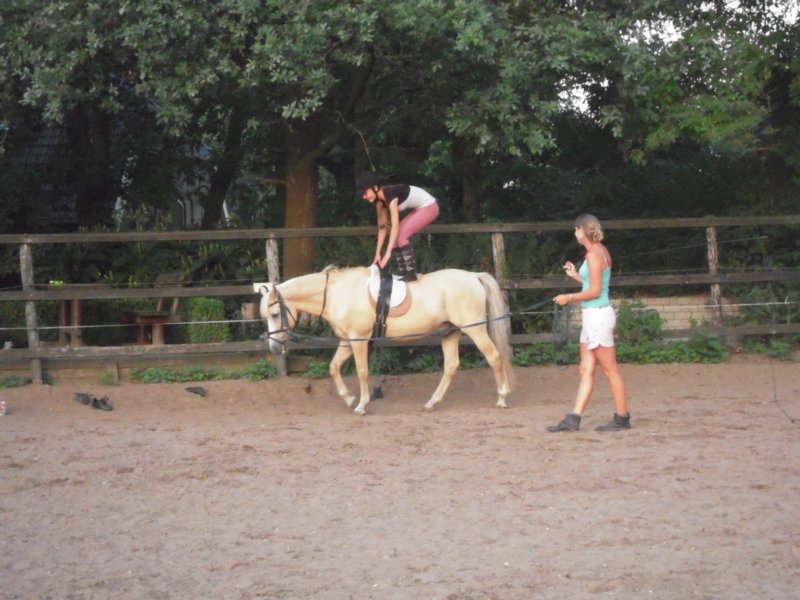 dscn2763.jpg