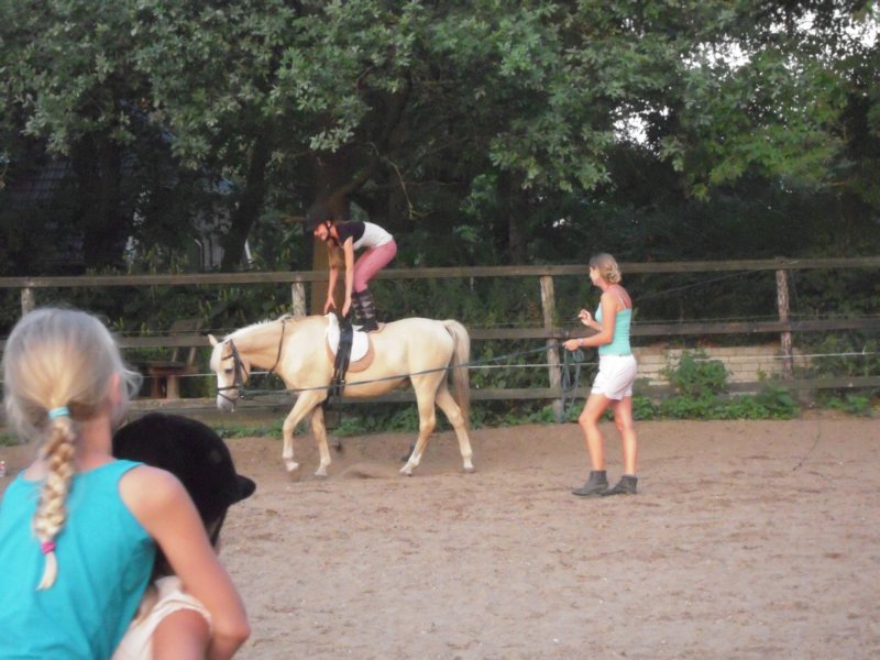 dscn2764.jpg