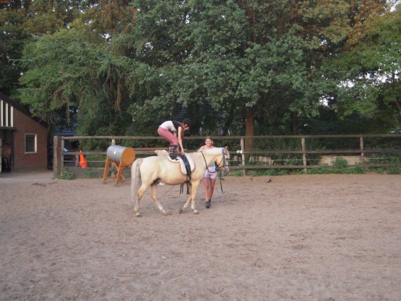 dscn2766.jpg
