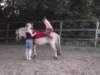 dscn2774_small.jpg