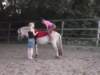dscn2775_small.jpg