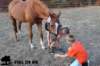 img_8962_small.jpg
