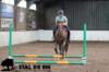 staldeeikimg_1640_small.jpg