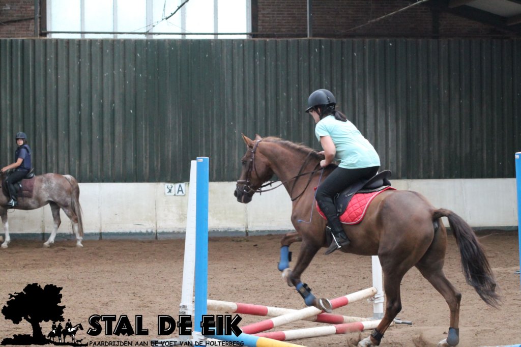 staldeeikimg_1641.jpg