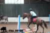 staldeeikimg_1641_small.jpg