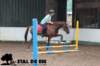 staldeeikimg_1642_small.jpg