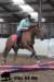 staldeeikimg_1644_small.jpg
