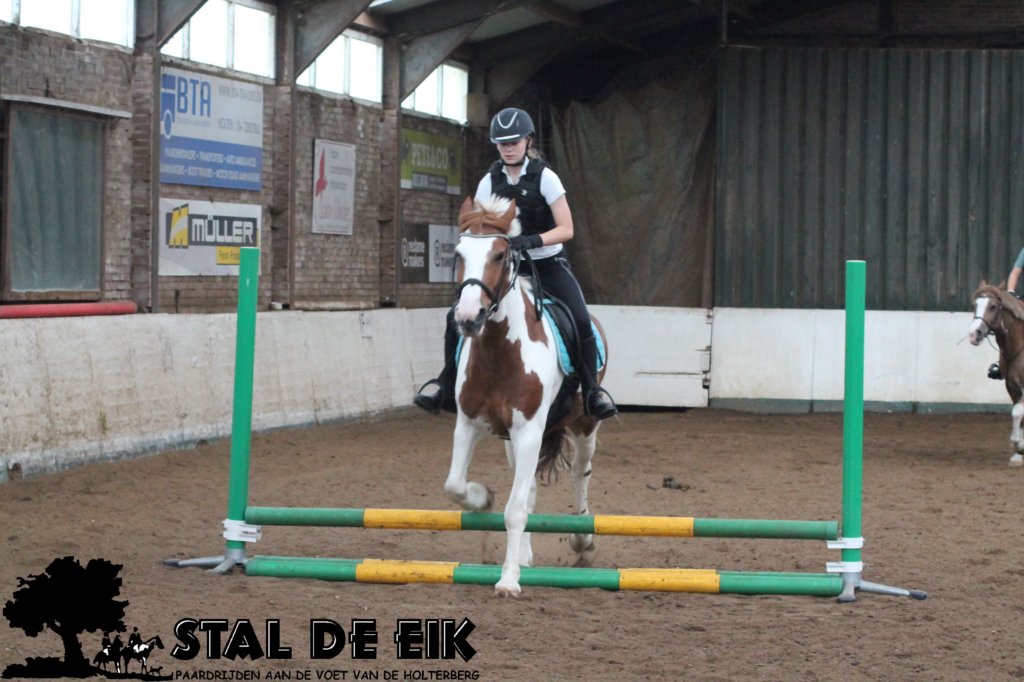 staldeeikimg_1652.jpg