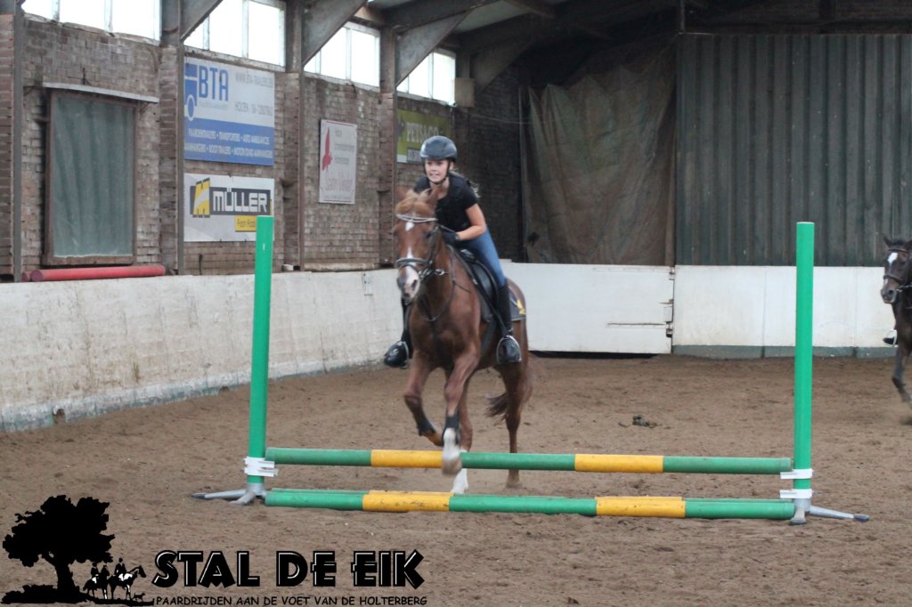 staldeeikimg_1656.jpg