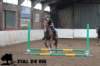 staldeeikimg_1656_small.jpg