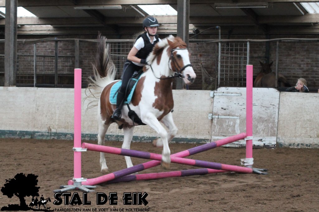 staldeeikimg_1659.jpg