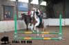 staldeeikimg_1660_small.jpg