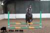 staldeeikimg_1668_small.jpg