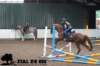staldeeikimg_1669_small.jpg