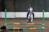 staldeeikimg_1679_small.jpg