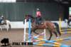 staldeeikimg_1681_small.jpg