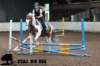 staldeeikimg_1687_small.jpg