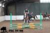 staldeeikimg_1689_small.jpg