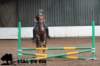 staldeeikimg_1695_small.jpg
