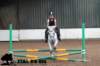 staldeeikimg_1698_small.jpg