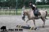 staldeeikimg_1702_small.jpg