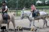 staldeeikimg_1704_small.jpg