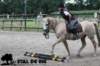 staldeeikimg_1706_small.jpg