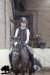 staldeeikimg_1729_small.jpg