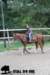 staldeeikimg_1731_small.jpg