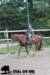 staldeeikimg_1732_small.jpg