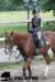 staldeeikimg_1733_small.jpg
