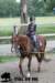 staldeeikimg_1734_small.jpg